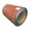 el color prepintado 0.5m m cubrió la bobina de acero SGC440 SGC490 PPGI PPGL